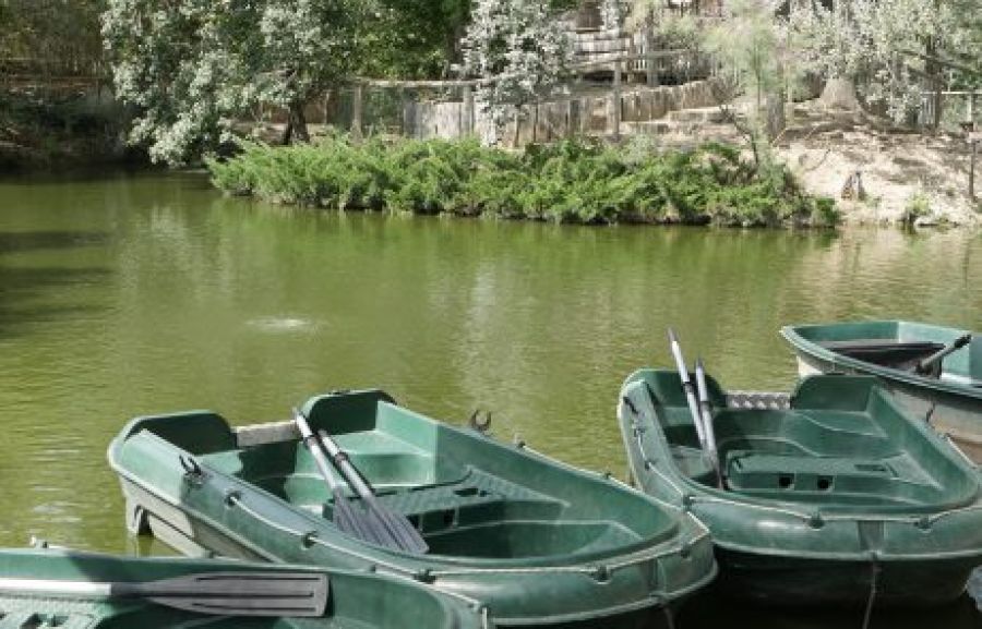 Barques de la ferme du Petit Paradis